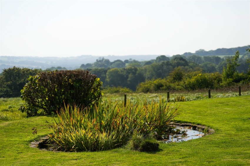 Images for NR CHULMLEIGH