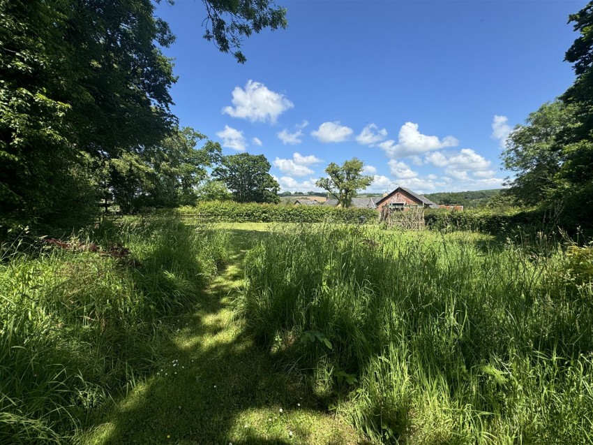 Images for NR BURRINGTON