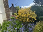 Images for CHAWLEIGH
