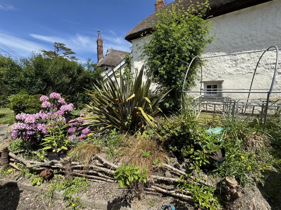Images for KINGS NYMPTON