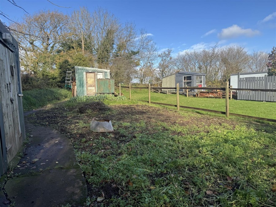 Images for ZEAL MONACHORUM