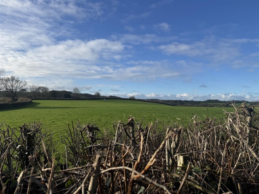 Images for ZEAL MONACHORUM