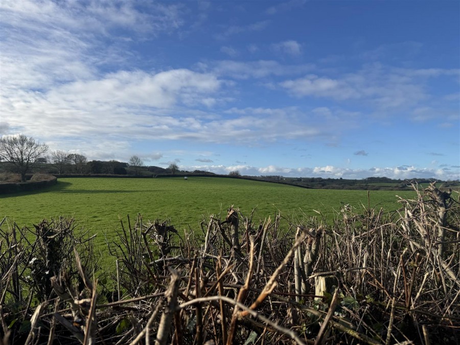 Images for ZEAL MONACHORUM