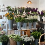 Images for CHULMLEIGH