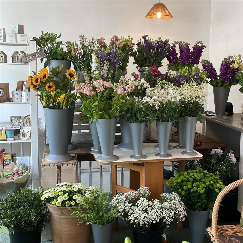 Images for CHULMLEIGH